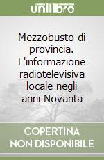 Mezzobusto di provincia. L'informazione radiotelevisiva locale negli anni Novanta libro