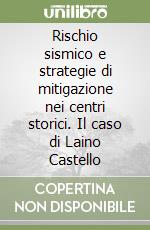 Rischio sismico e strategie di mitigazione nei centri storici. Il caso di Laino Castello libro