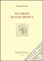 Nei pressi di Acquabianca libro