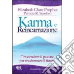 Karma e reincarnazione. Trascendere il passato per trasformare il futuro