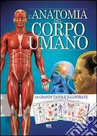 L'anatomia del corpo umano