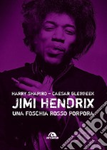 Jimi Hendrix. Una foschia rosso porpora