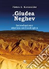 Giudea e Neghev. Introduzione storico-archeologica libro