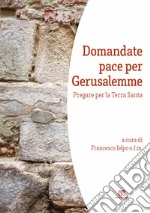 Domandate pace per Gerusalemme. Pregare per la Terra Santa