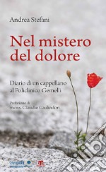 Nel mistero del dolore. Diario di un cappellano al Policlinico Gemelli libro