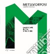 Metamorfosi. Quaderni di architettura. Ediz. italiana e inglese. Vol. 11: Landscape Infrastructure libro