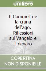 Il Cammello e la cruna dell'ago. Riflessioni sul Vangelo e il denaro libro