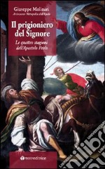 Il prigioniero del Signore. Le quattro stagioni dell'apostolo Paolo libro