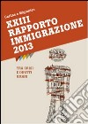 XXIII Rapporto Immigrazione 2013. Tra crisi e diritti umani libro