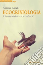 Ecocristologia. Sulle orme di Gesù con la Laudato si' libro