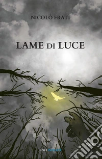 Lame di Luce libro