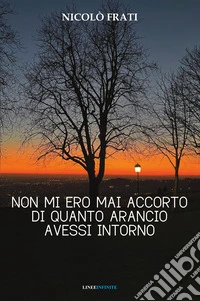 Non mi ero mai accorto di quanto arancio avessi intorno