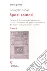 Spazi contesi. Camera della Sommaria, baronaggio, città e costruzione dell'apparato territoriale del Regno di Napoli (secc. XV-XVIII). Vol. 1 libro