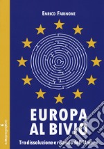 Europa al bivio. Tra dissoluzione e rilancio dell'Unione libro