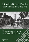 I colli di San Paolo. Dalla Garbatella alla Collina Volpi tra paesaggio rurale e industrializzazione libro