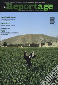 Il reportage. Vol. 36 libro