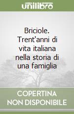 Briciole. Trent'anni di vita italiana nella storia di una famiglia libro