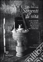 Sorgenti di vita. Sacre dimore dell'acqua di Romagna tra le valli dell'uso e del Rubicone. Ediz. illustrata libro