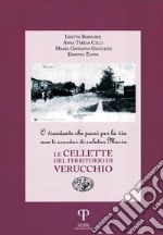 Le cellette del territorio di Verucchio. O viandante che passi per la via non ti scordar di salutare Maria