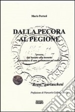 Dalla pecora al pegione «ovvero, dal baratto alla moneta. L'avventura di una scommessa sul nulla» libro