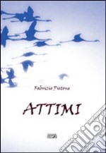 Attimi libro