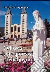 Odissea con apoteosi a Medjugorje libro