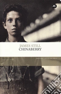 Chinaberry