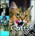 Gatti libro