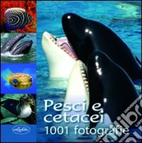 Pesci e cetacei