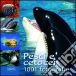 Pesci e cetacei libro