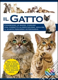 Il gatto