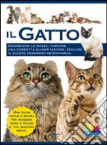 Il gatto libro