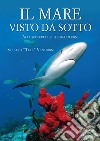 Il mare visto da sotto. Alla scoperta dei fondali marini libro