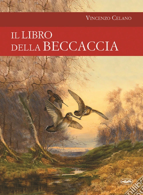 Il libro della beccaccia