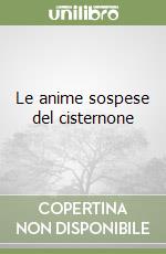 Le anime sospese del cisternone libro