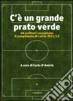 C'è un grande prato verde. 40 scrittori raccontano il campionato di calcio 2011/12 libro