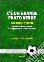 C'è un grande prato verde (secondo tempo) libro