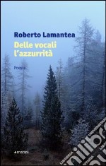 Delle vocali l'azzurrità libro