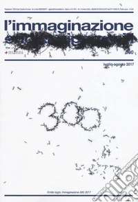 L'immaginazione. Vol. 300 libro