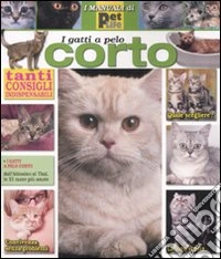 Gatto a pelo corto