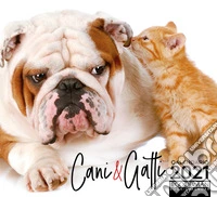 Cani & gatti. Calendario 2021 libro