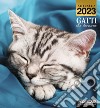 Gatti che dormono. Calendario 2023 libro