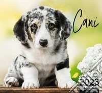 Cani. Calendario 2023. Pocket libro