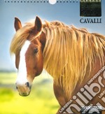 Cavalli. Calendario 2024 libro