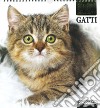 Gatti. Calendario 2024. Magnum libro