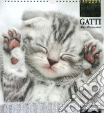 Gatti che dormono. Calendario 2024 libro