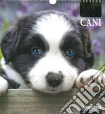 Cani. Calendario 2024. Magnum libro