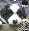 Cani. Calendario 2024. Magnum libro