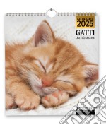 Gatti che dormono. Calendario 2025 libro