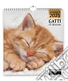 Gatti che dormono. Calendario 2025 libro